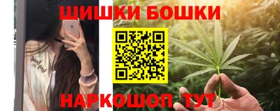 прущие грибы Сочи