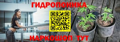 эйфоретик Ярославль