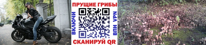 Галлюциногенные грибы мухоморы  Асбест 